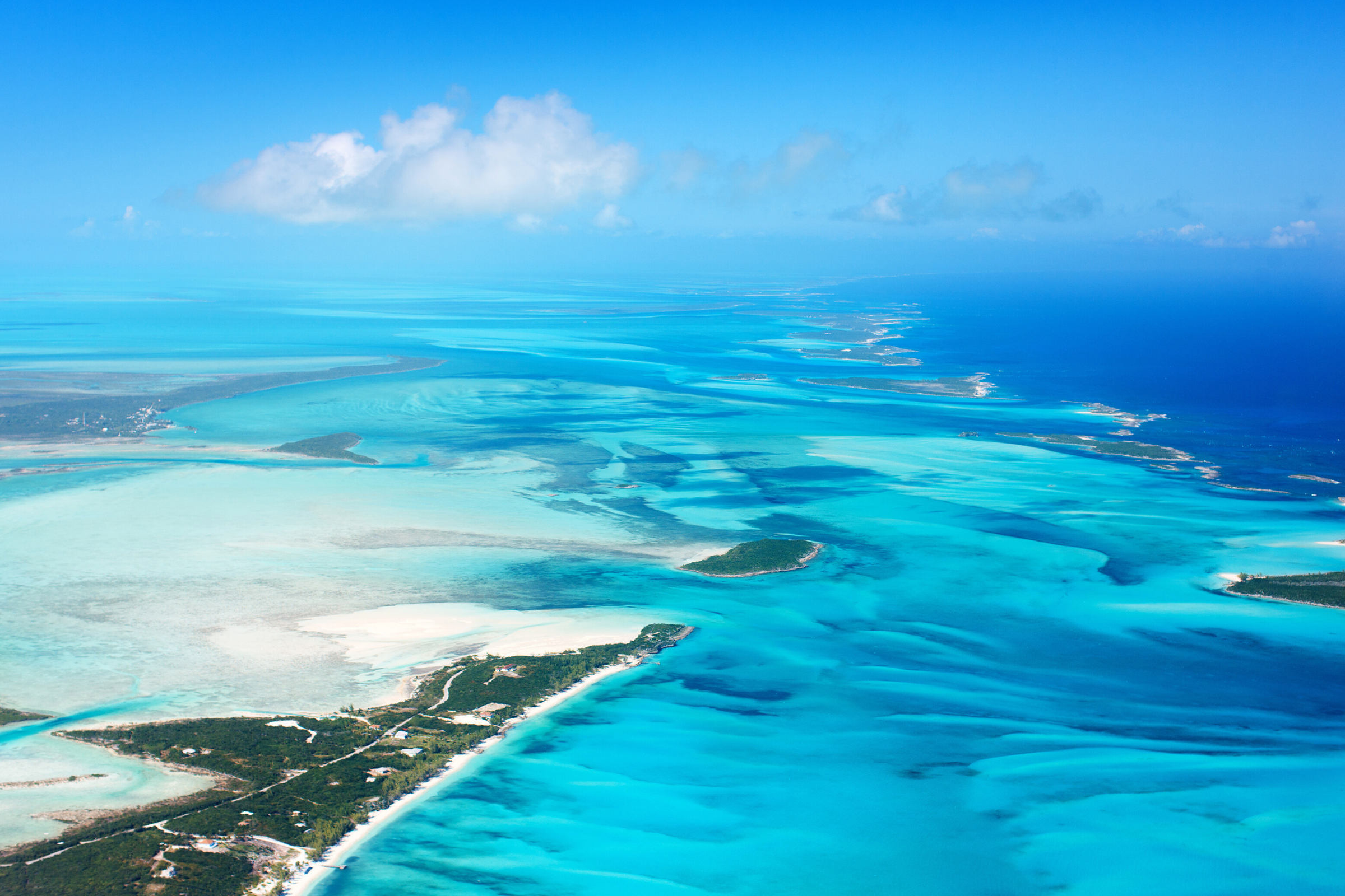 212 bahamas.webp